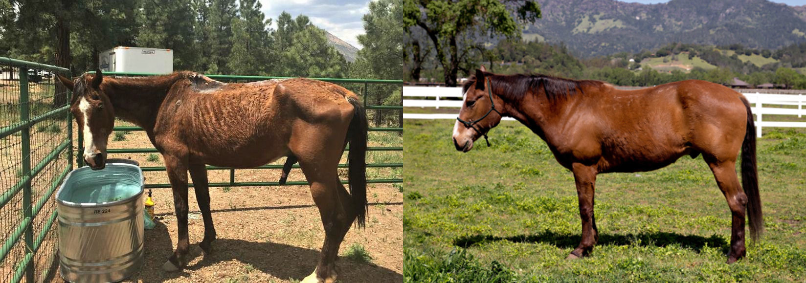 Before and After